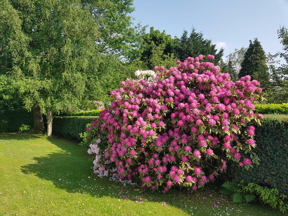 B&B Prince D'Orange Waterloo Zewnętrze zdjęcie